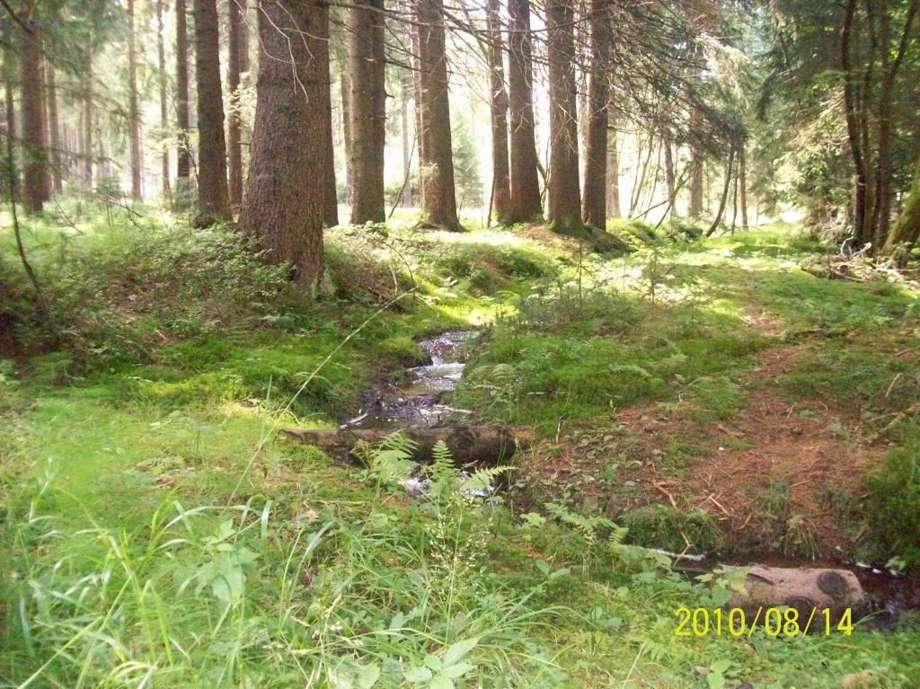 Hotel Burghof Oberweißbach Pokoj fotografie