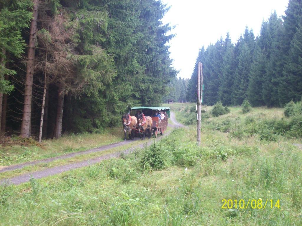 Hotel Burghof Oberweißbach Pokoj fotografie